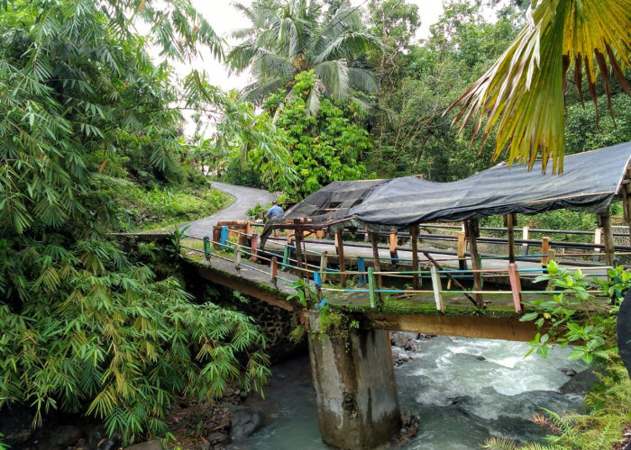 Jembatan Lama Patah, Rawan Hantam Jembatan Sebelahnya di Desa Banjarpanepen Sumpiuh