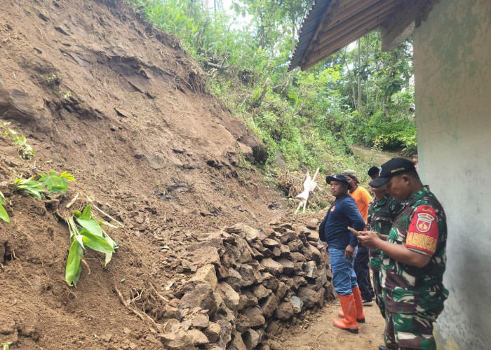 Tebing Longsor Ancam Penduduk Rowokele