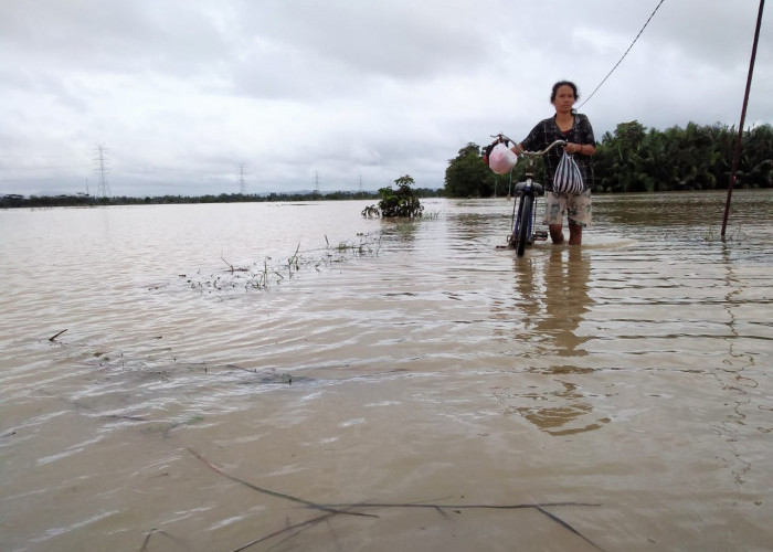  13 KK di Gerumbul Nusapule Desa Nusadadi Sumpiuh Tergenang Banjir