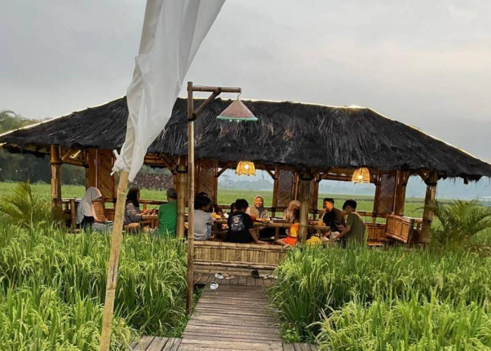 Rumah Makan Lumbung Pari, Perpaduan Rasa Tradisional dan Suasana Pedesaan yang Menenangkan