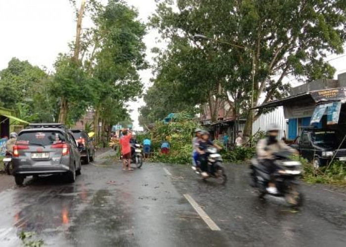 Hujan Deras Disertai Angin Kencang Rusak Rumah dan Lumpuhkan Akses Jalan di Purbalingga