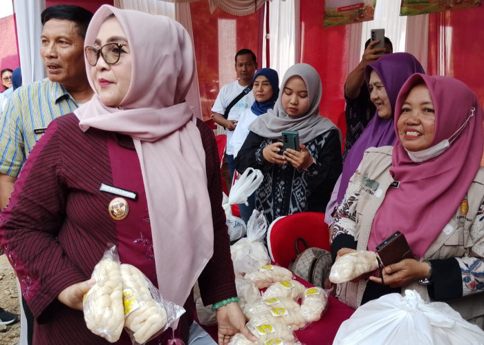 Wabup Banyumas Perkuat Literasi untuk Cegah Pinjol Ilegal, OJK Bangun Ekosistem Keuangan Inklusif di Desa