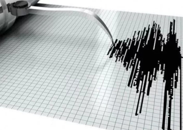 Gempa Rusia Hari Ini M 8,7, Picu Peringatan Tsunami di Sejumlah Negara