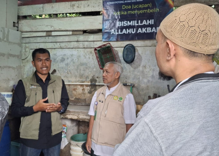 Pelaku Usaha Diingatkan Urus Sertifikat Halal sebelum Wajib Berlaku di 2026