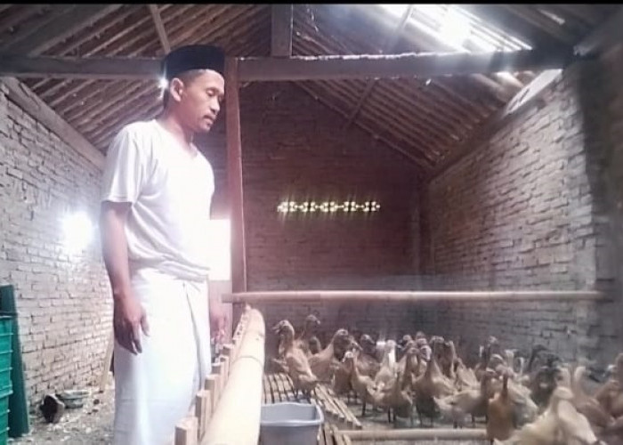 Warga Alian Uji Coba Limbah MBG untuk Bebek