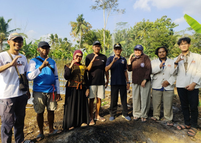 Dosen Amikom Purwokerto Dampingi Petani Mangunjaya Perkuat Ketahanan Pangan