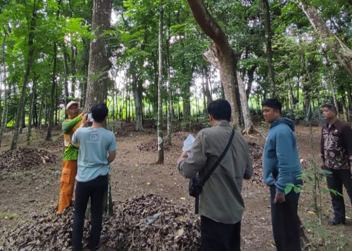 60 Pohon di Hutan Kota Karanglewas Dipasangi QR Code 