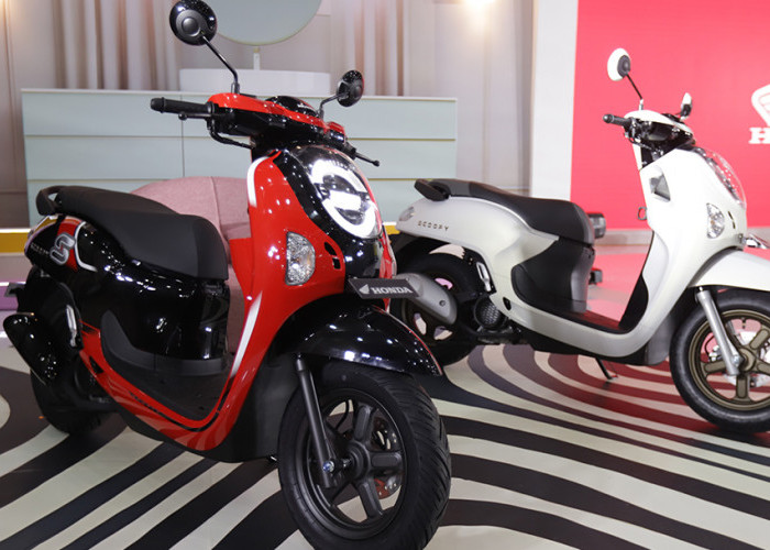 Daftar Harga Terbaru Motor Scoopy 2025: Idaman Cewek-Cewek Tipe Modis