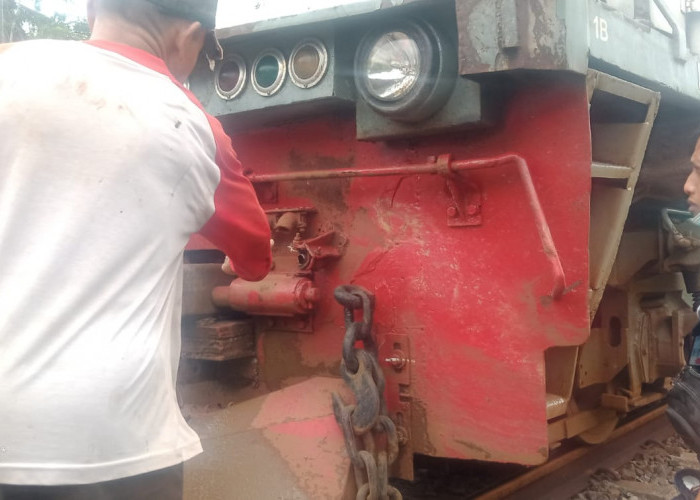 Akibat Tertemper Kerbau, Lokomotif KA Sawunggalih 'Hilang Tenaga'