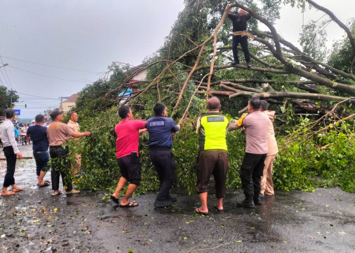 19 Desa di 7 Kecamatan Purbalingga Terdampak Hujan Deras dan Angin Kencang, Puluhan Rumah Rusak