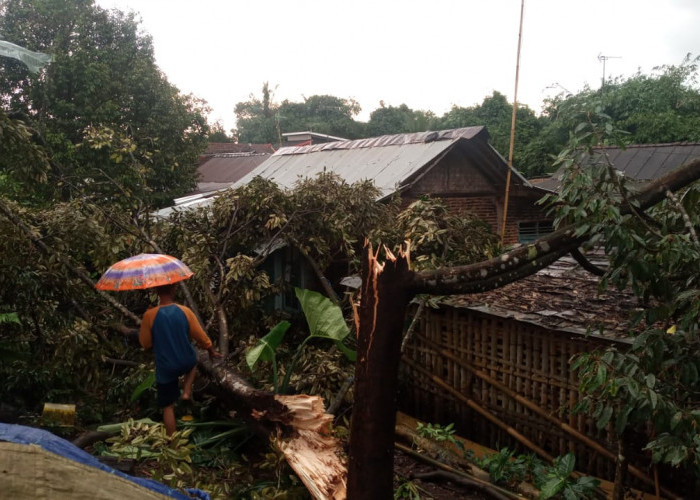 Puting Beliung di Desa Karangnangka, 13 Rumah Rusak