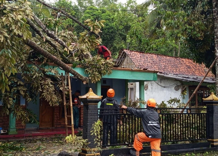 Cuaca Ekstrem Picu 44 Bencana di Banyumas, Puluhan Rumah Rusak, Pohon Tumbang Mendominasi