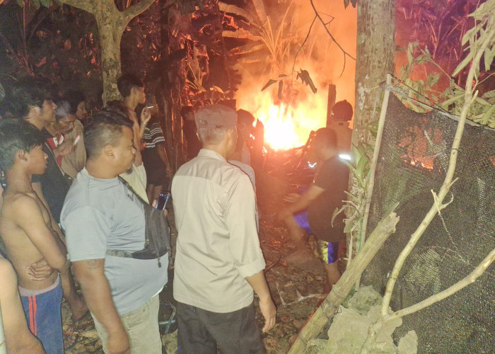 Bakar Sampah Dekat Kandang, Tiga Kambing di Bojongsari Hangus Terbakar