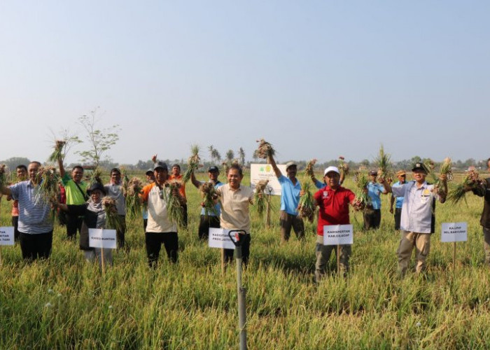 Gapoktan Desa Bunton, Cilacap Panen Bawang Merah Menggunakan Teknologi Pemanfaatan TSS 