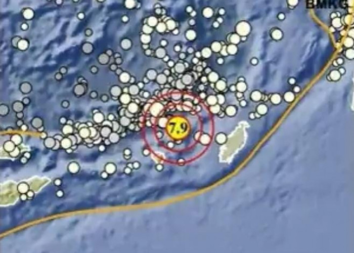 Gempa Magnitudo 7,9 Mengguncang Maluku, BMKG Sempat Nyatakan Berpotensi Tsunami