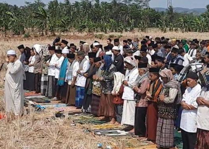 Enam Bulan Tanpa Hujan, Warga Madura Cilacap Gelar Salat Istisqa di Sawah Kering
