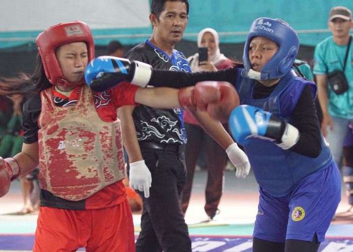 Banjarnegara dan Temanggung Raih Juara Umum Wushu Pelajar Dulongmas