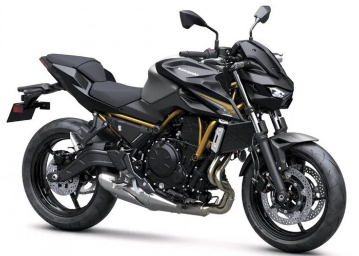 Kawasaki Z650 S Siap Meluncur, Bawa Tampilan dan Fitur Baru yang Berkelas