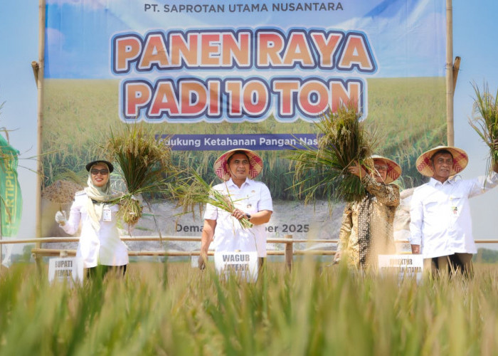 Pacu Produktivitas Hasil Panen, Pemprov Jateng Dukung Penuh Lomba Panen Padi 10 Ton per Hektare