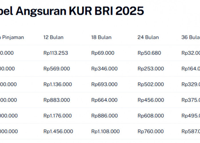 Simulasi  Angsuran KUR BRI 2025: Pinjam Rp25 Juta, Cicilan Mulai Rp100 Ribuan!