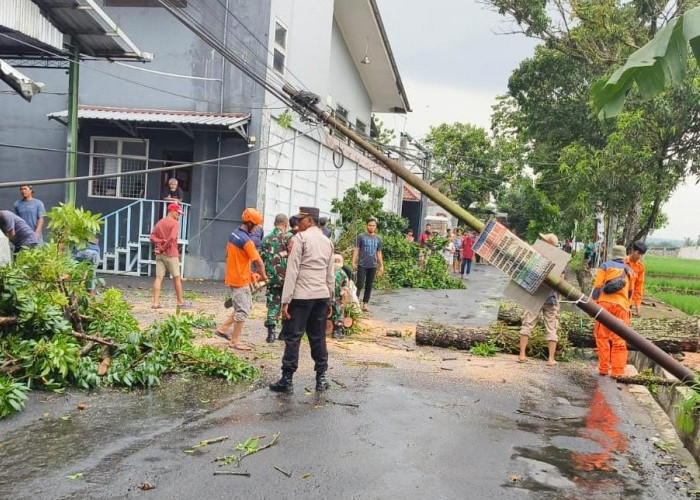 Hujan Deras Disertai Angin di Padamara, Rumah Tertimpa Pohon dan Tiang Telepon Roboh