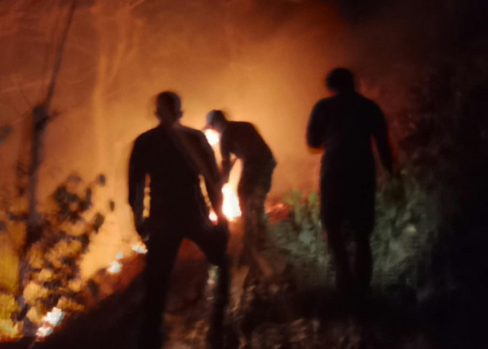 Bakar Sampah Berujung Kebakaran di Pejagoan