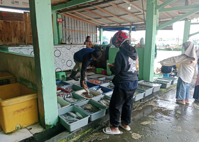 Cuaca Buruk, Pasokan Ikan di Dermaga 3 Cilacap Terbatas