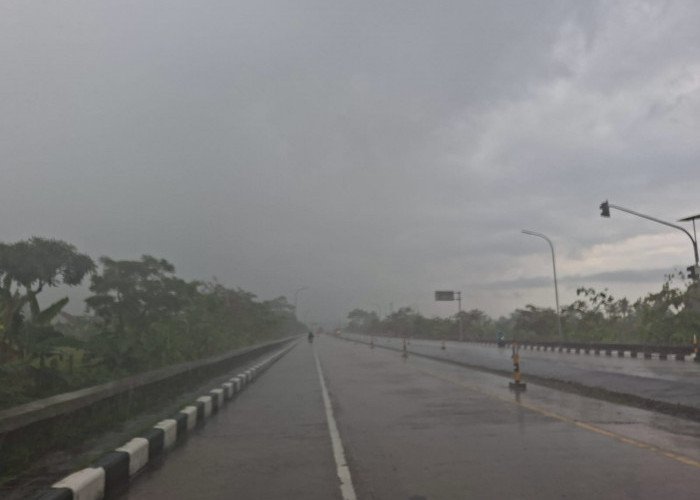 BMKG Cilacap Peringatkan Gelombang Tinggi Hingga 4 Meter Pekan Ini