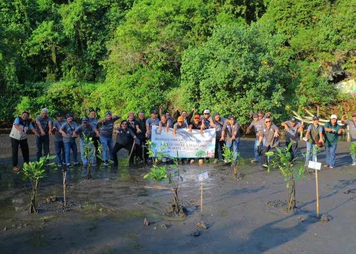 PKB GPIB Gelar Bakti Sosial di Cilacap, Tanam 200 Mangrove dan Lepas Tukik ke Laut