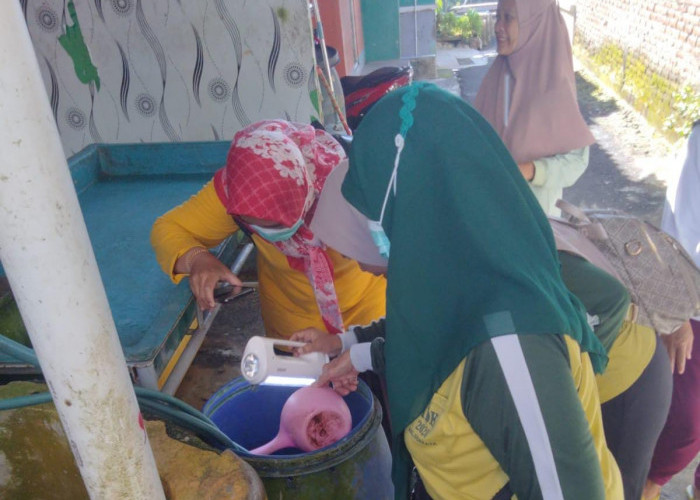 Wilayah Kota Cilacap Jadi Lokus DBD dan Chikungunya