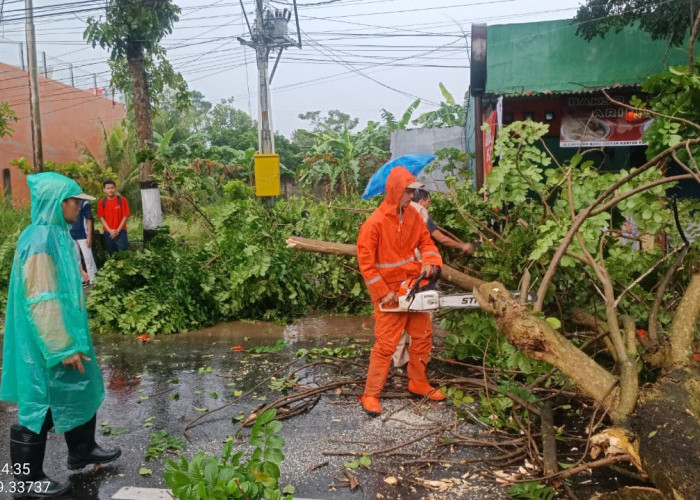 Bencana Angin Kencang Kembali Terjadi, Kerugian Material Tembus Rp 53 Juta