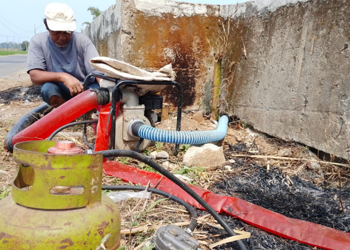 Petani Banyumas Beralih ke Gas Melon untuk Pompa Air, Tekan Biaya Pengairan Saat Sawah Mulai Kekeringan
