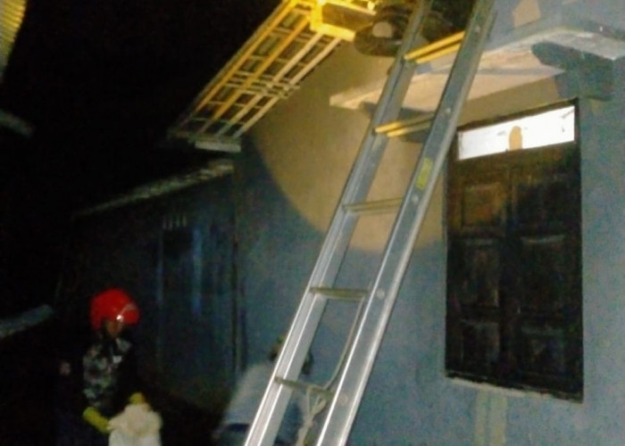 Marak Tawon Vespa, Damkar Kemranjen Evakuasi Sarang