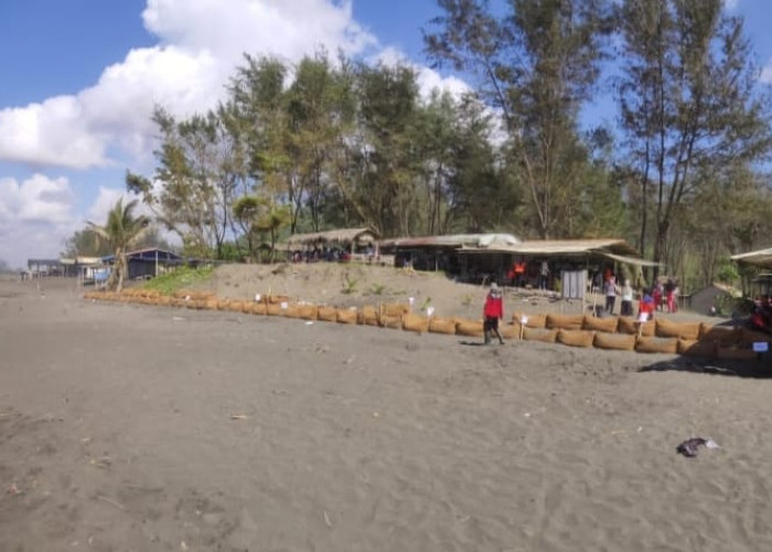 Gelombang Tinggi Ancam Pantai di Cilacap, BPBD Cilacap Ingatkan Masyarakat Tidak Membangun di Pinggir Pantai