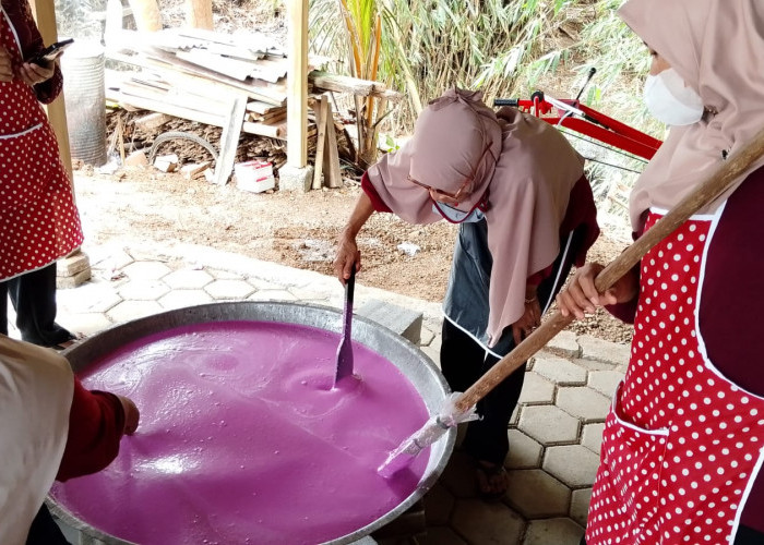 Pokdarwis Pekunden Banyumas Kembangkan Jenang Buah Naga, Inovasi Kuliner Tradisional Disiapkan Jadi Oleh-Oleh 