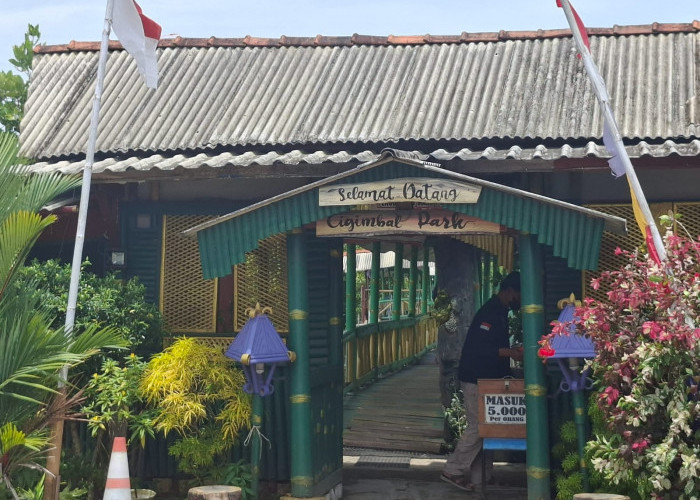 Kawasan Wisata Hutan Mangrove Cigimbal Park Cilacap Diserbu Pengunjung Akhir Pekan