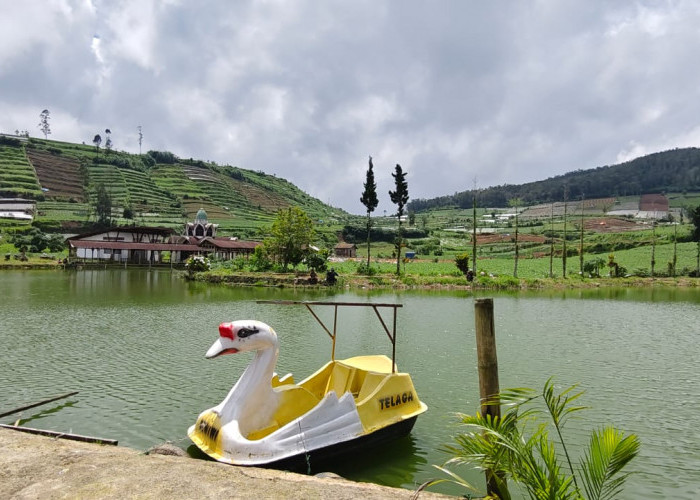 Kunjungan Belum Sampai 1 Persen, Zona 2 Dieng Disiapkan Jadi Destinasi Alternatif