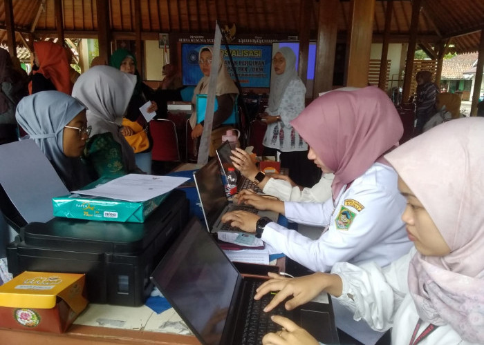 Selama 2022 Ada 285 Aduan Masyarakat ke DPMPTSP