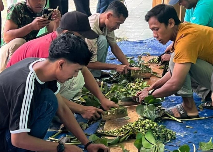 Eceng Gondok Diubah Jadi Pakan Ikan yang Bernilai Ekonomis