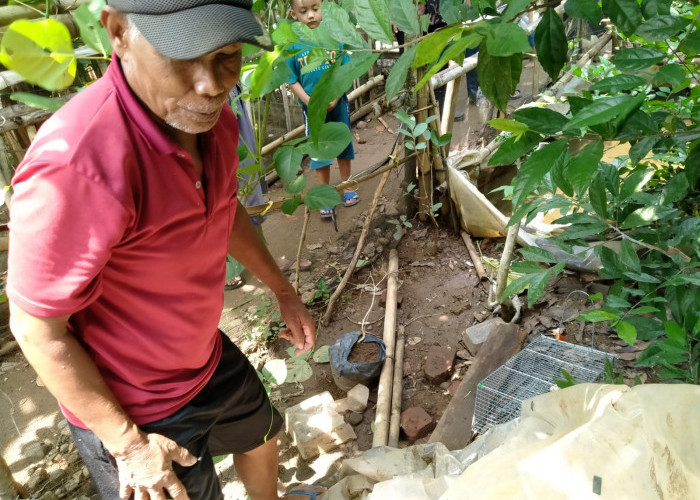 Jumlah Kasus Naik, Tingkat Kematian Leptospirosis Turun