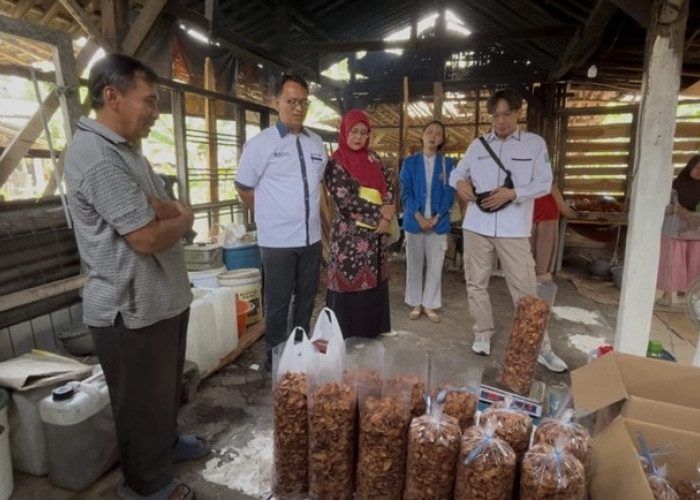 Pemberdayaan Produk dan Pemasaran, Unwiku Dampingi UMKM Keripik Pisang Sale Bersiap Naik Kelas