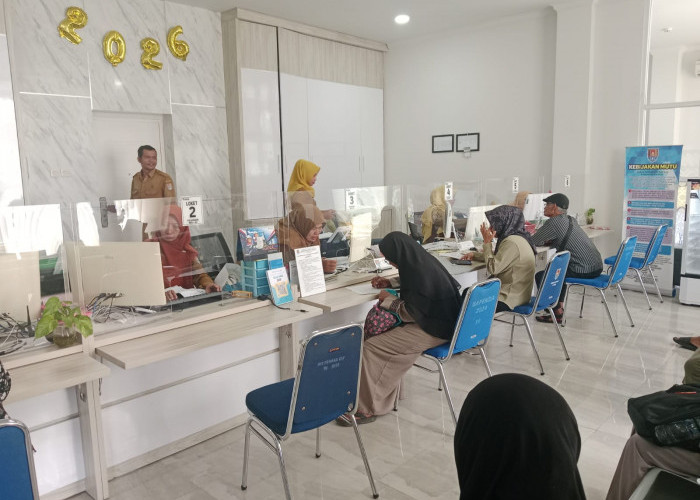 Pendapatan Daerah dari Sektor PPB Capai 24 Persen, Bapenda Optimistis Target Tercapai