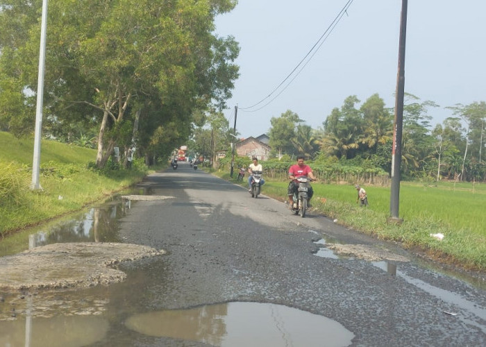 Jalan Rusak di Kecamatan Binangun Segera Diperbaiki