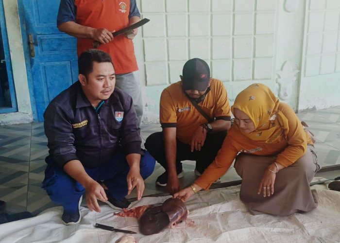 Lebih dari 25 Ribu Hewan Kurban Disembelih di Cilacap