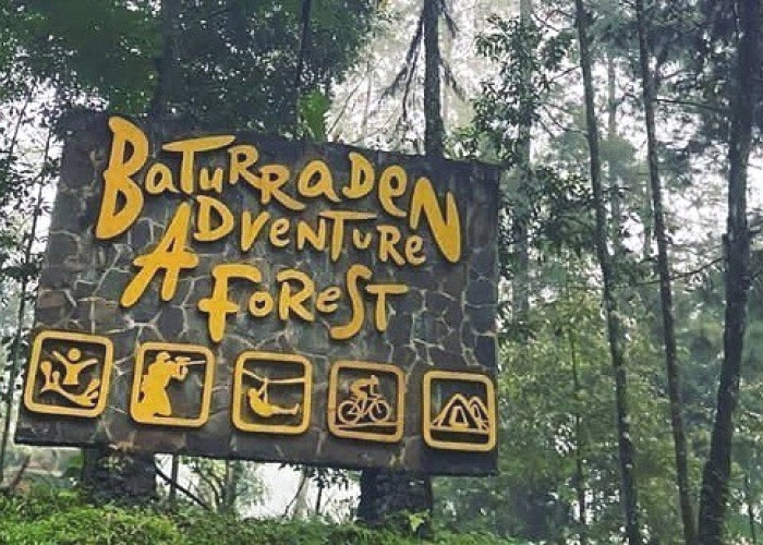 Baturaden Adventure Forest, Ekowisata Dengan Berbagai Aktivitas Alam!