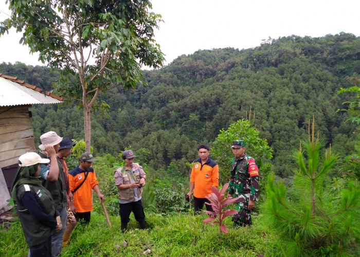 Pasca Longsor, 600 Pohon Ditanam di Desa Banjarpanepen