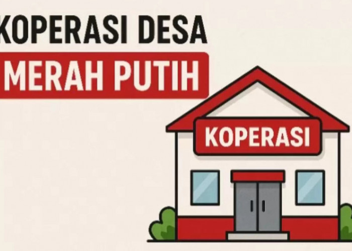 Daftar Jumlah Persebaran Koperasi Merah Putih di Tiap Provinsi Indonesia, Jawa Tengah Jadi yang Terbanyak