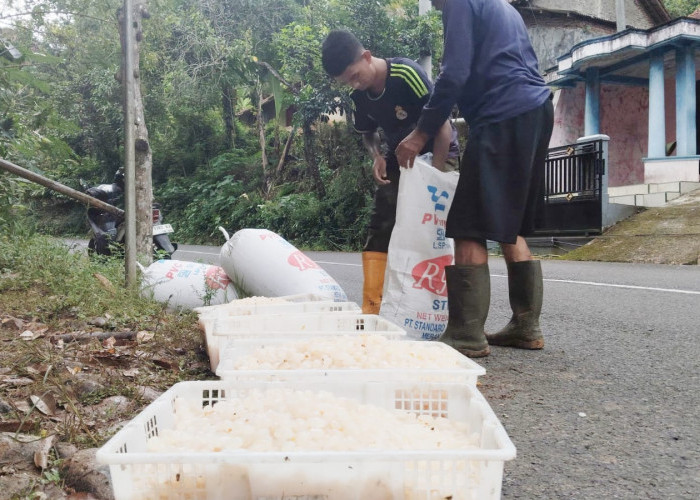 Kolang-Kaling Asli Ujungbarang Cilacap Diminati hingga Luar Kota