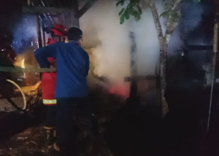 Kandang Terbakar di Desa Krenceng, Satu Ekor Sapi Mati Terpanggang