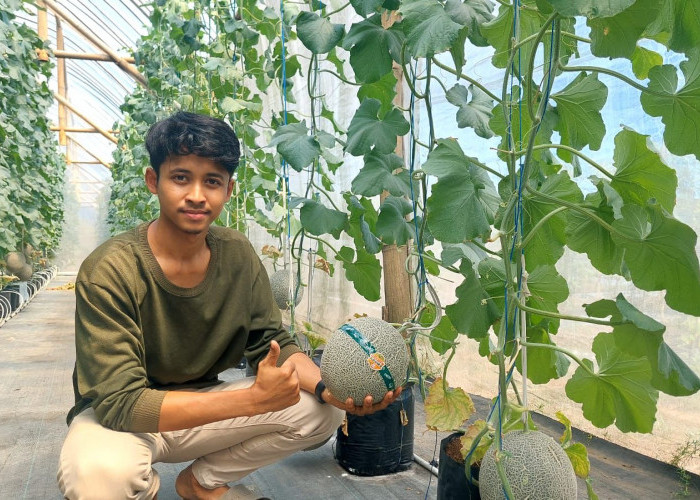 Tatag Nur Ikhsan, Petani Muda Raih Omset Ratusan Juta, Bangun Inspirasi Kawula Muda